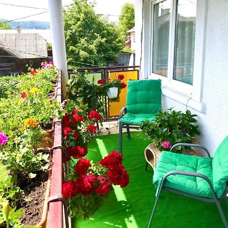 Apartament Vica Гура Хуморулуй Екстериор снимка