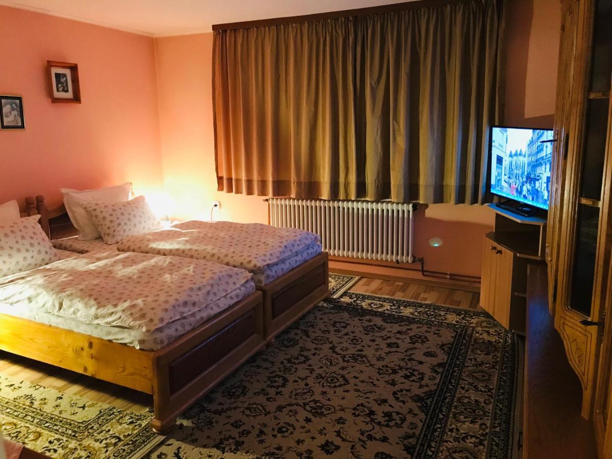 Apartament Vica Гура Хуморулуй Екстериор снимка