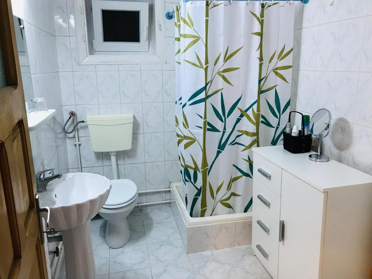 Apartament Vica Гура Хуморулуй Екстериор снимка