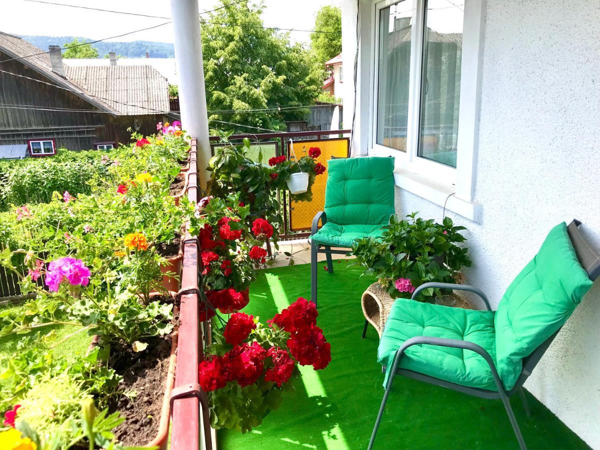 Apartament Vica Гура Хуморулуй Екстериор снимка